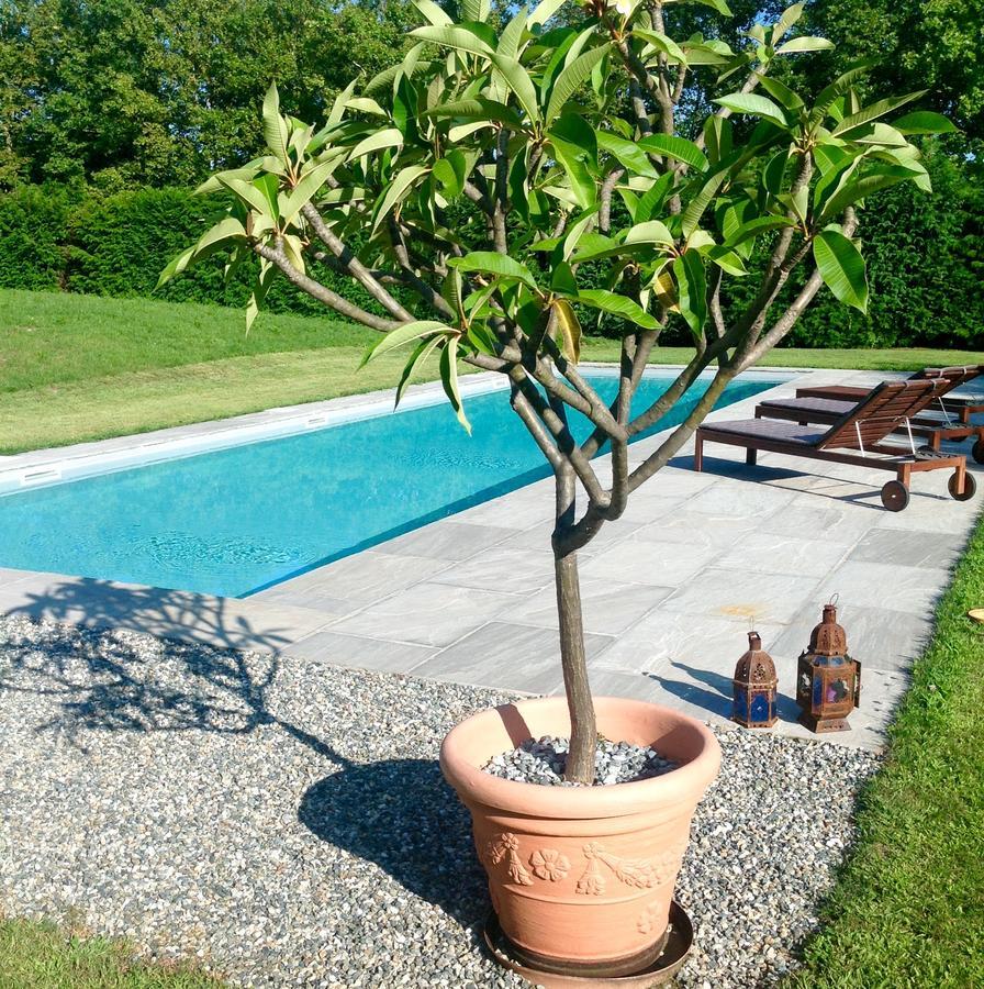 Alla Gazza Ladra Bed & Breakfast Prato Sesia Oda fotoğraf